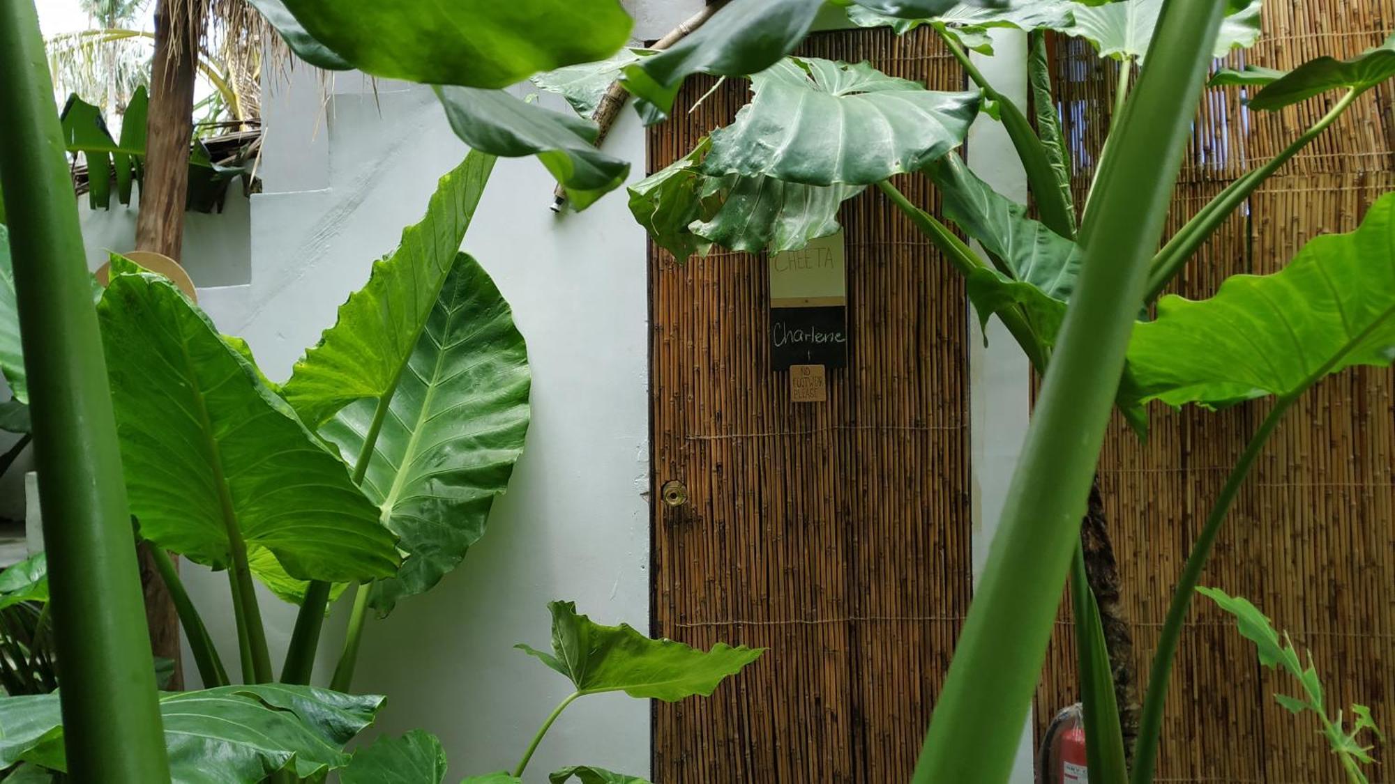 Tarzan'S House Hotel General Luna  Exterior foto